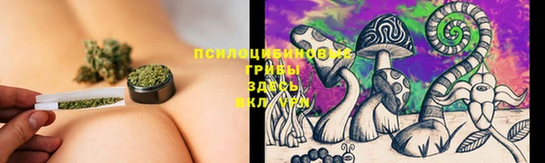 крисы Аркадак