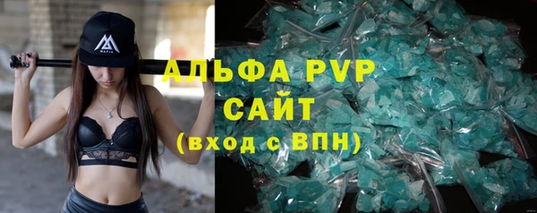 крисы Аркадак